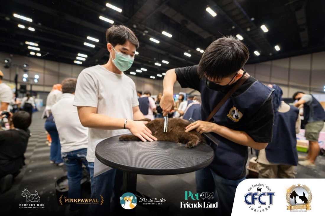 ผลงานการแข่งขัน Grooming ชนะเลิศ