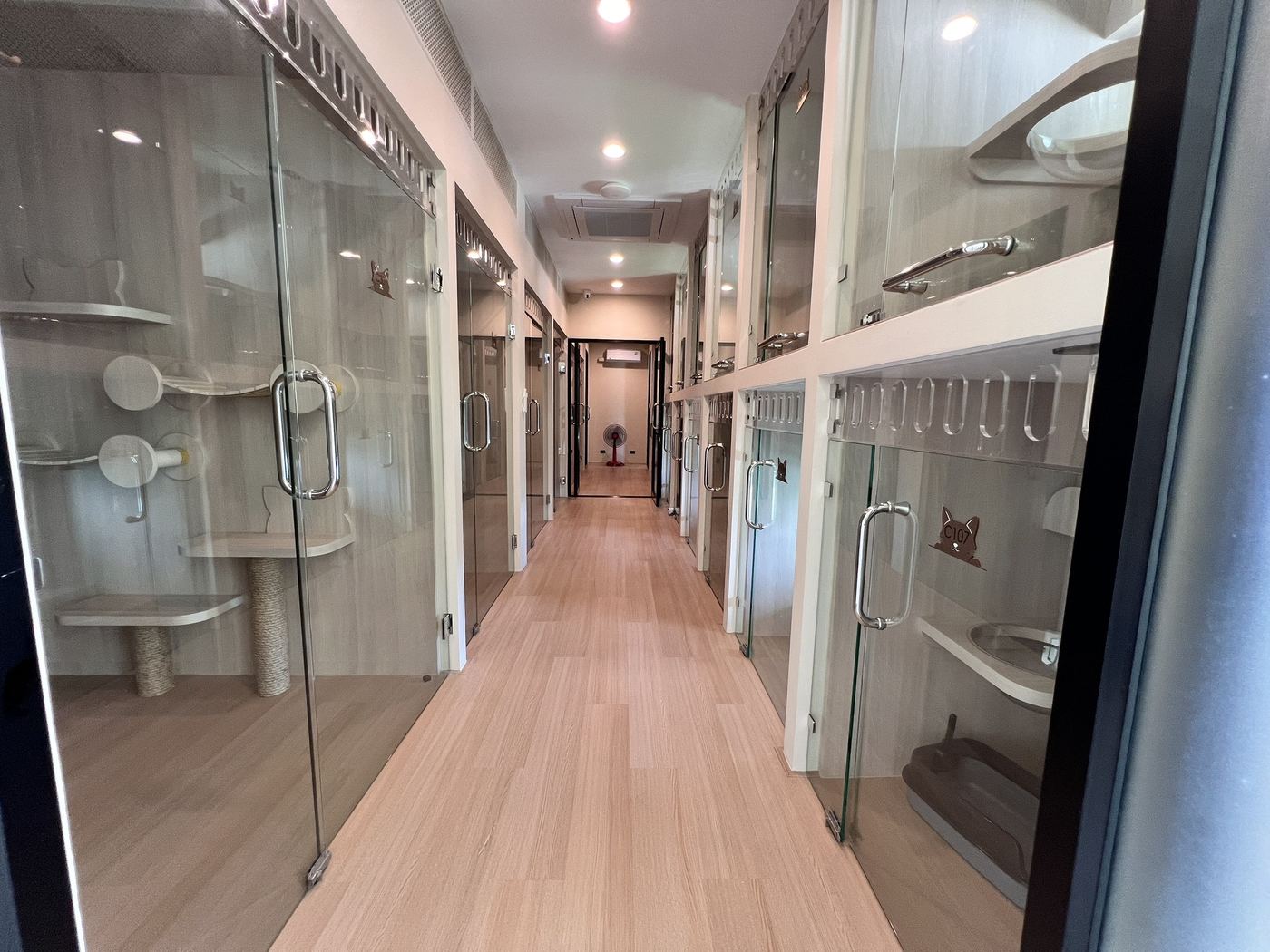 บรรยากาศภายในร้าน Perfect Pet House
