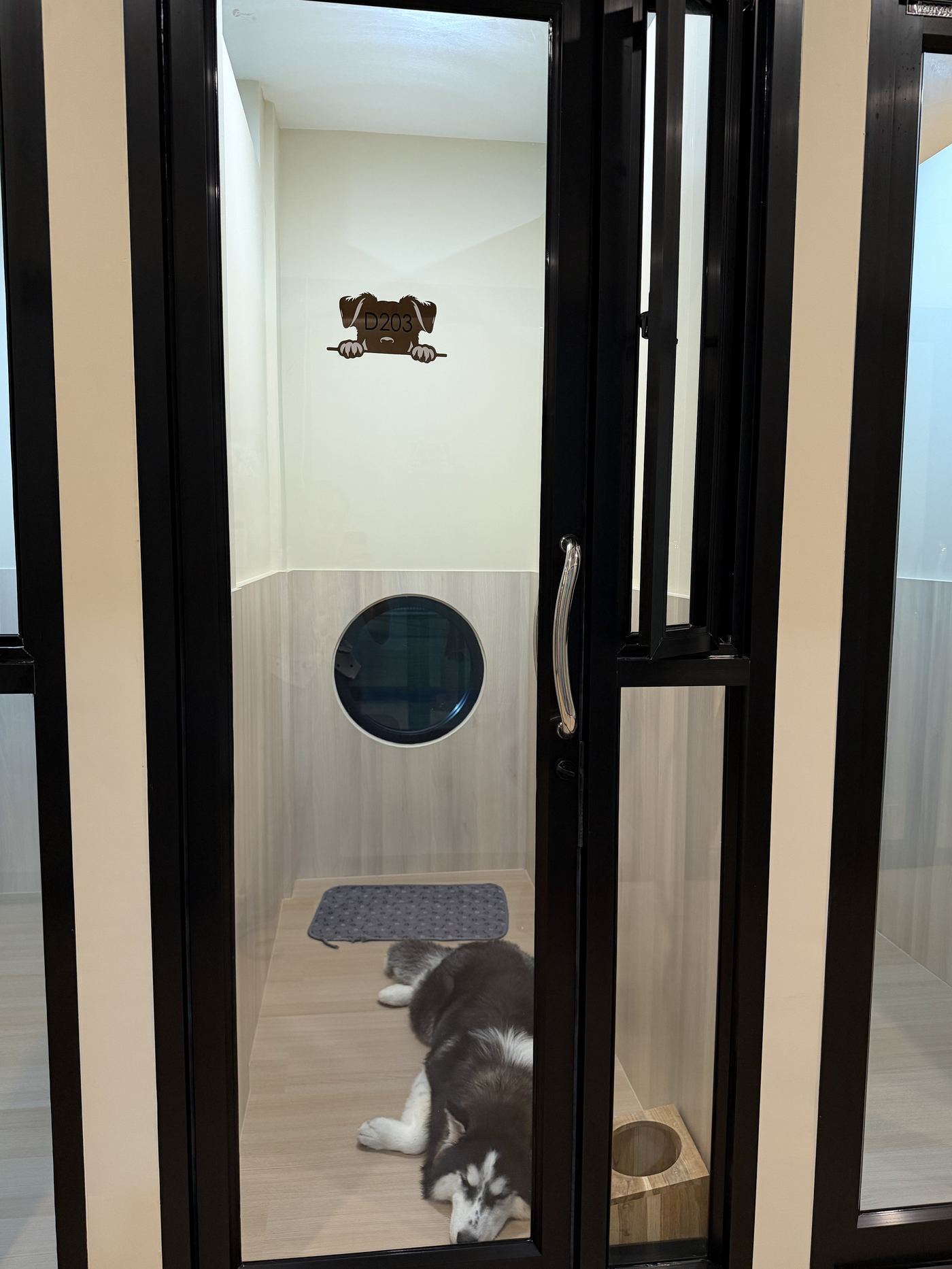 บรรยากาศภายในร้าน Perfect Pet House