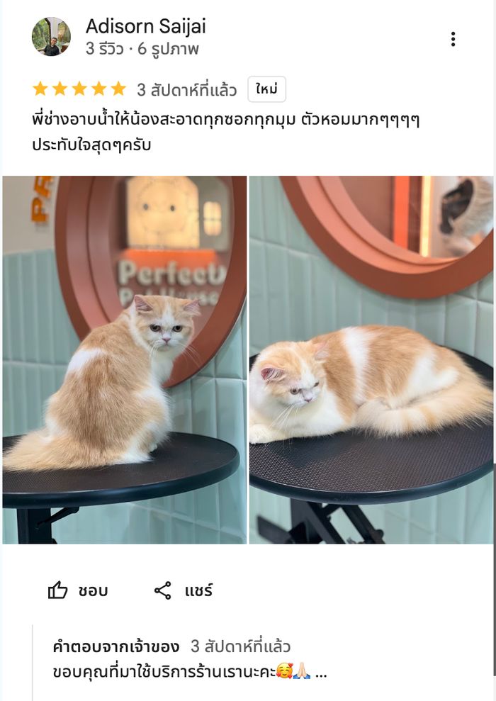 รีวิวจากลูกค้า Perfect Pet House