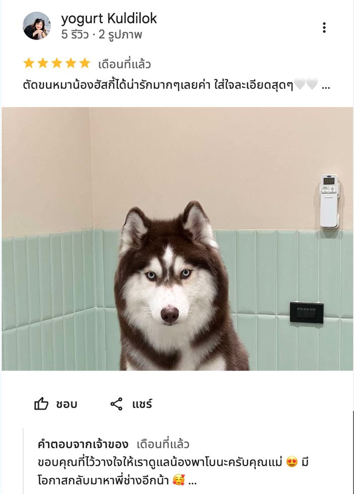 รีวิวจากลูกค้า Perfect Pet House