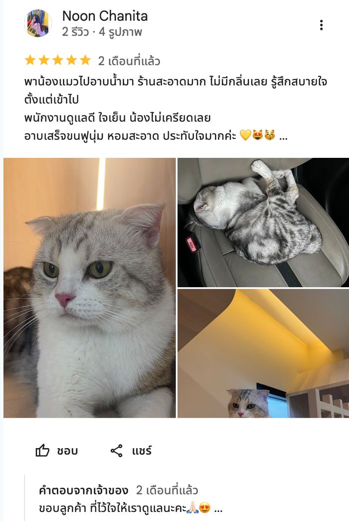 รีวิวจากลูกค้า Perfect Pet House