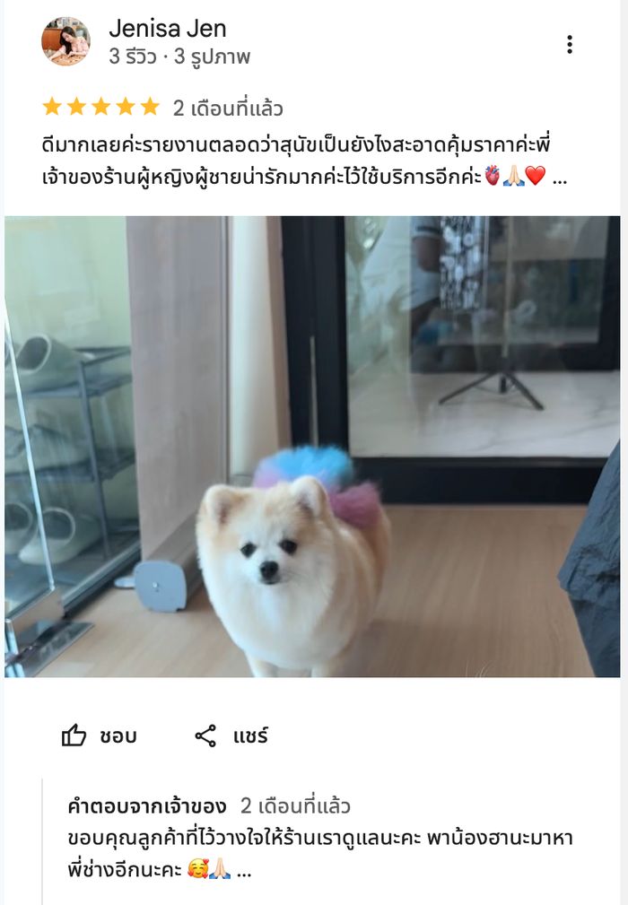 รีวิวจากลูกค้า Perfect Pet House