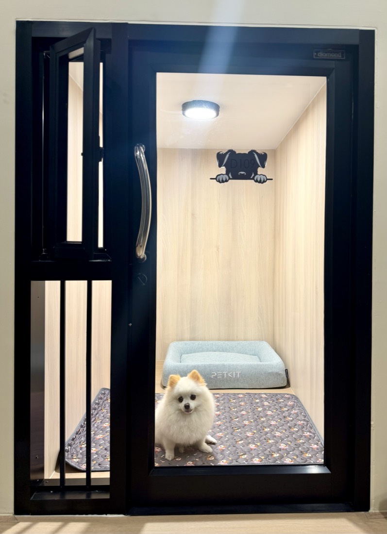 ห้อง Cozy Room สำหรับสุนัข